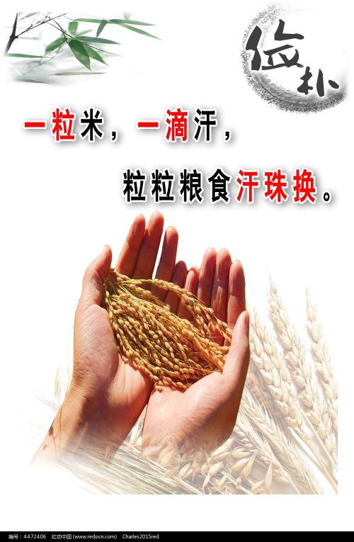加泰罗尼亚开放大学Economics Degree Certificate